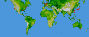 Synchrotrons Around the World